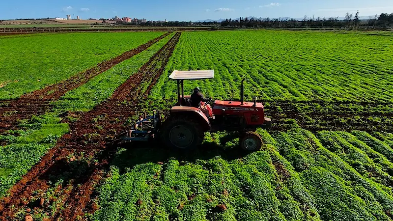 تساقطات ملوية تنعش آمال الفلاحين بموسم فلاحي واعد